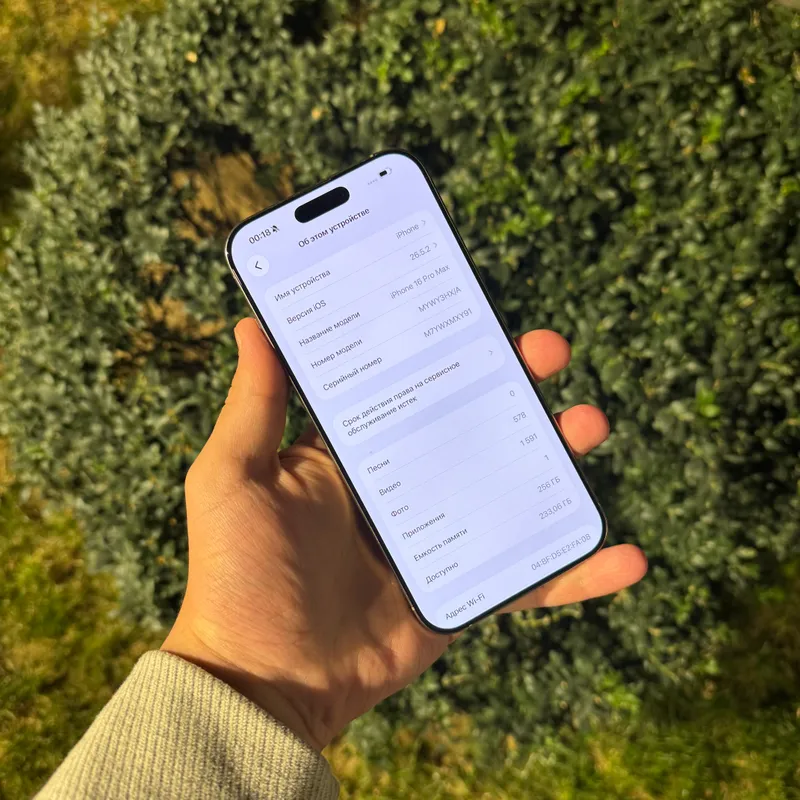iPhone 16 Pro Max 256 ГБ, 91% 2