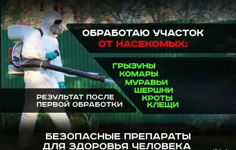 Dezinfeksiya klapa, tarakan | dizinfeksiya dizenfeksiya dezenfeksiya