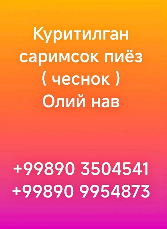 Куритилган саримсок пиёз ( чеснок ) 2
