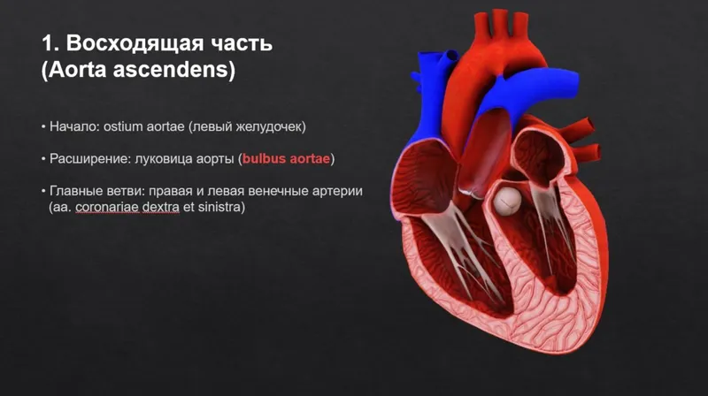 Медицинские презентации Power Point на заказ Медицинские презентации Power Point на заказ