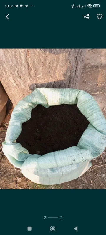 Bio Gomus (be pull Dostavka shaxarda) Gazon va ekinlar uchun — фото 1