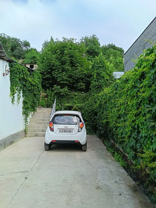 Dacha дача чарвак — фото 1