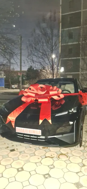 Бантик на авто 2 Бантик на авто 2