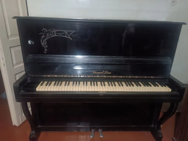 Pianino(fortapiano) — фото 1