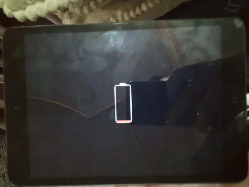 ipad mini A5 — фото 1