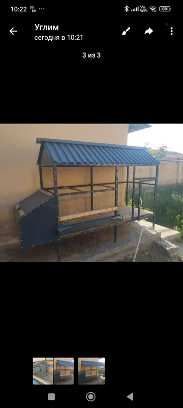 Tovuq katak sotiladi 1 Tovuq katak sotiladi 1