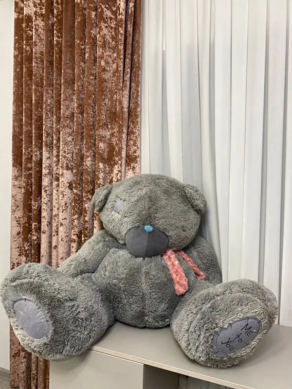 Teddy ayiqchasi 1 Teddy ayiqchasi 1