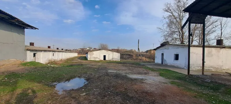 Земельный участок с кадастром (Ташкентская область, Янгиюль) 2