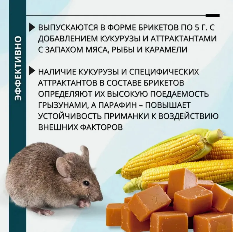Килмайс отрава от крыс мышей 3 кг парафиновые брикеты — фото 3