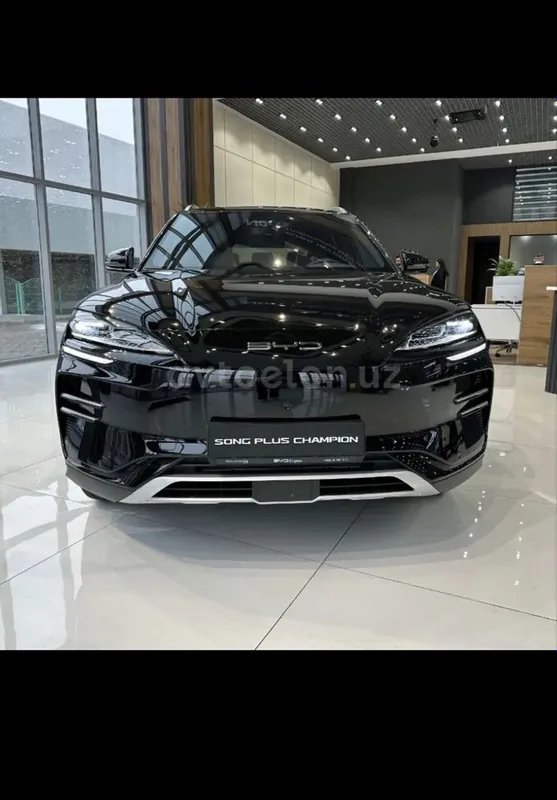 Byd Champion elektro full 605km — фото 1