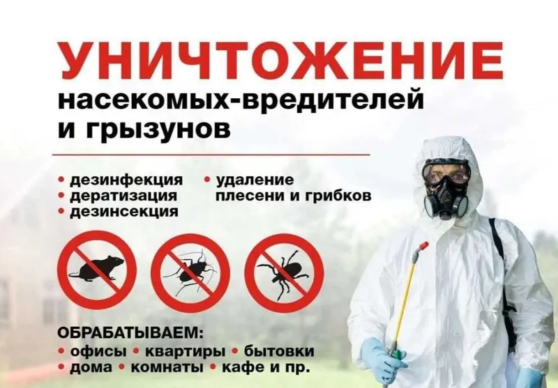 Dizinfeksiya klapa chumoli tarakan дезинфекция дезинсекция dezinfeksiy