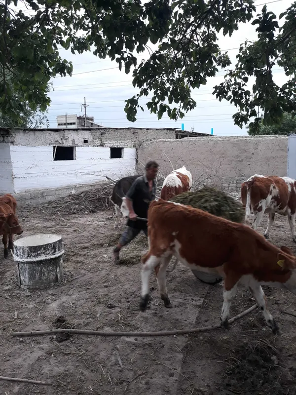 Продаётся участок в районе киргили .ФНПЗ