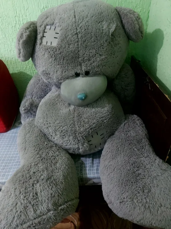 teddi