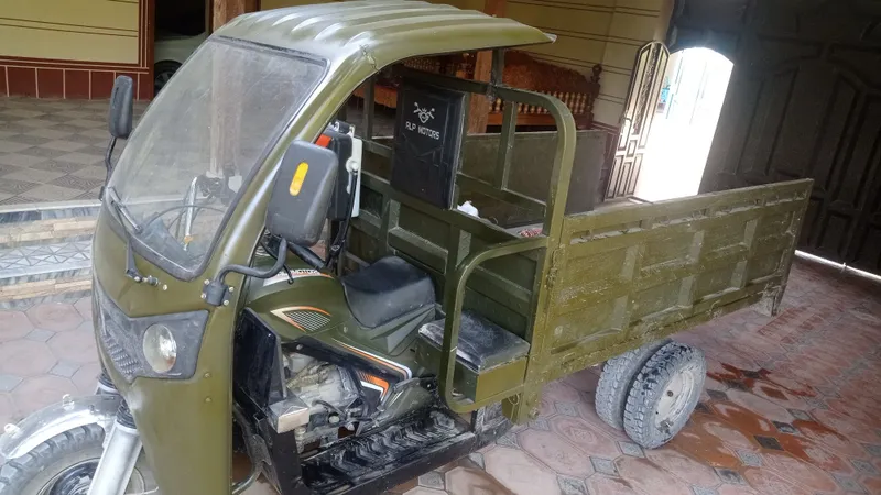 Alp motors murovi 3