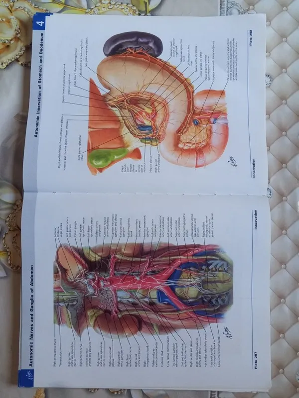 ОРИГИНАЛ! Atlas of human Anatomy Netter — фото 5