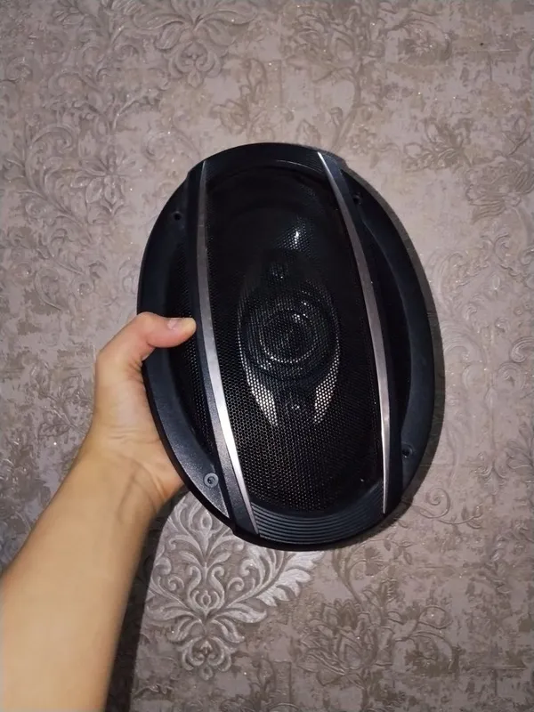 Pioneer TS-A6975S karnay 2