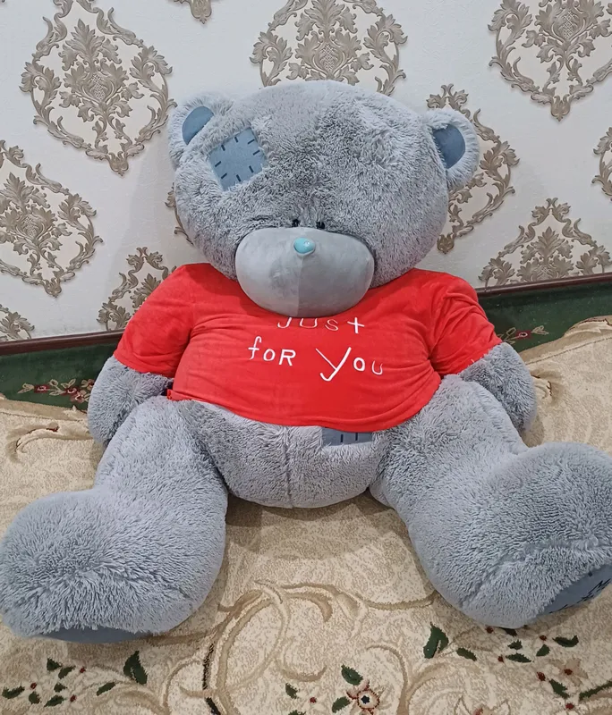 Teddy ayiq