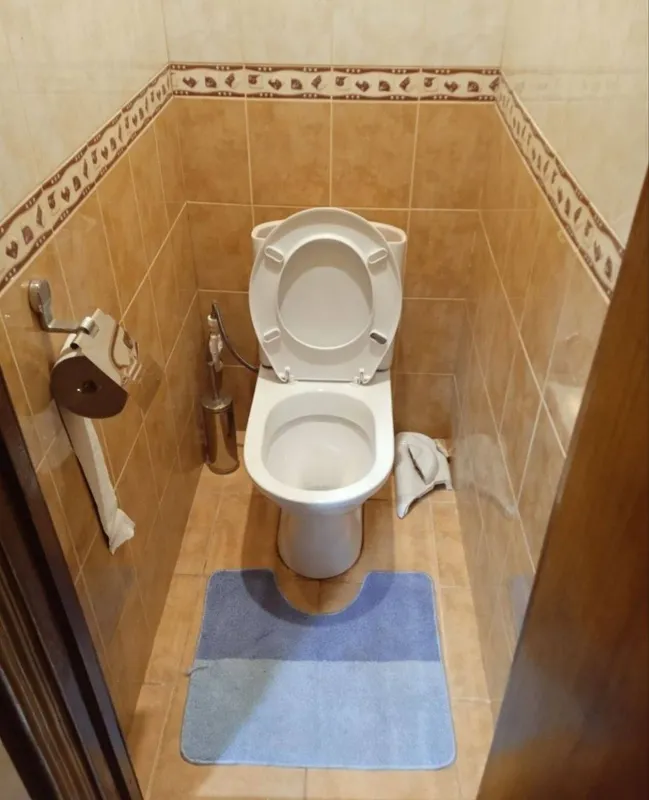 Аренда квартиры 3/3/5, Карасу 3 8
