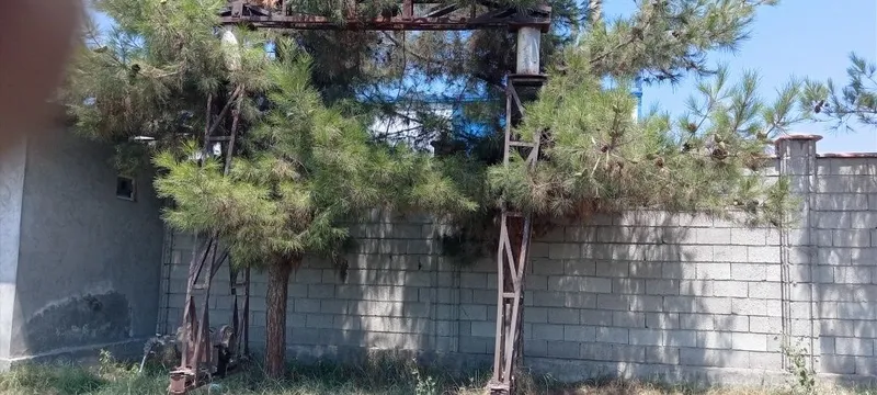 3.5 tonnalik tal sotiladi 2