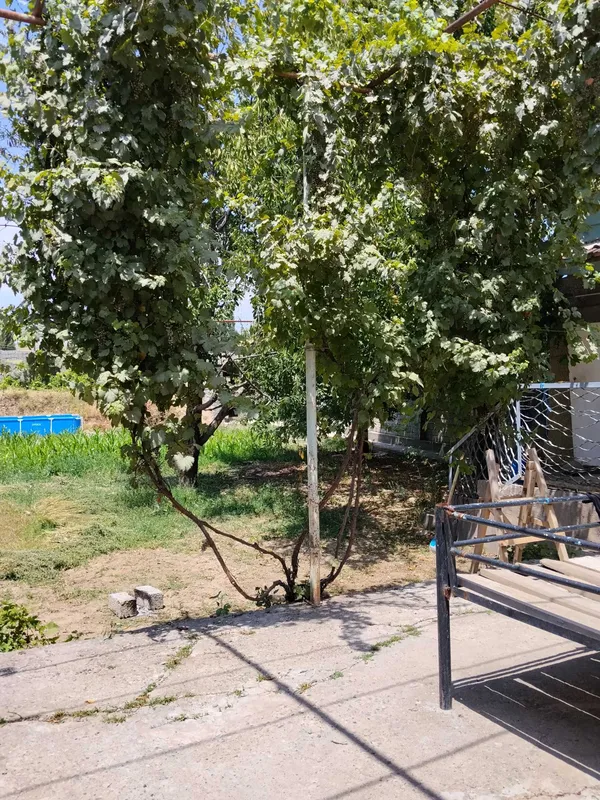 Уютный дом в экологически чистом районе 4 Уютный дом в экологически чистом районе 4
