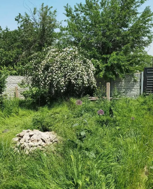 Продам участок поселок Красногорск 2 Продам участок поселок Красногорск 2