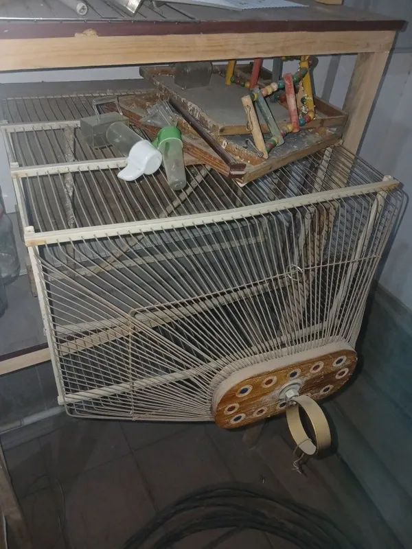 Kanareyka va to'tiqushlar uchun 2 ta qafas sotiladi / Продам 2 клетки 7 Kanareyka va to'tiqushlar uchun 2 ta qafas sotiladi / Продам 2 клетки 7