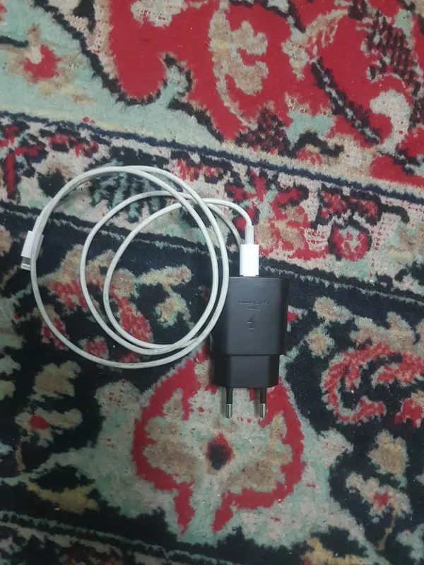 Зарядное устройство и наушники Lightning для iPhone 2