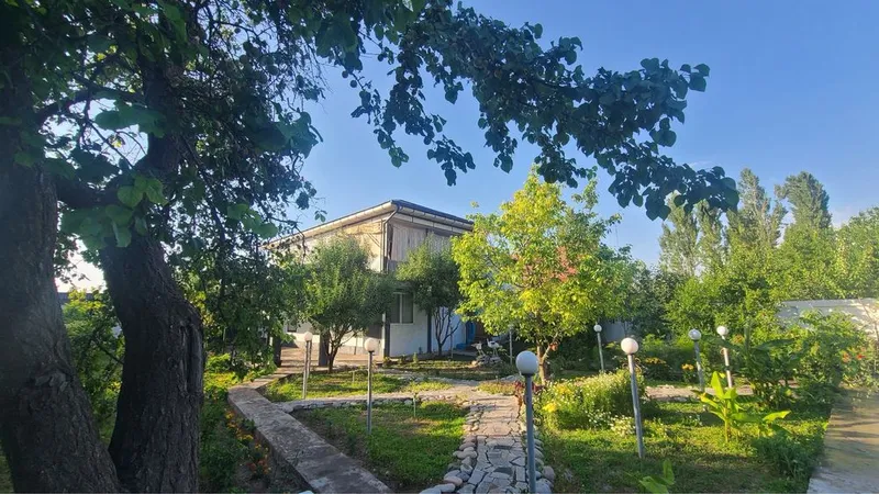 Dacha Chirchik Bassen Stol Tenis Oylalar va Ulfatlar uchunham — фото 4