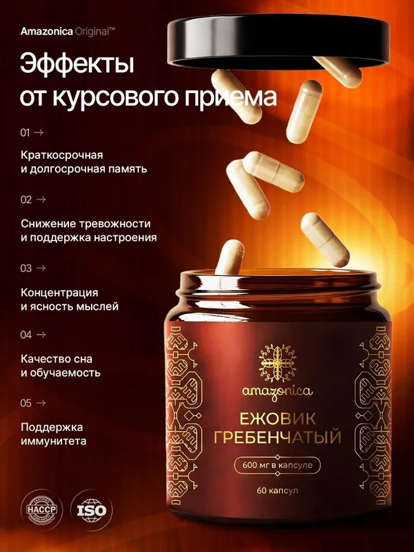 Ежовик гребенчатый — фото 3