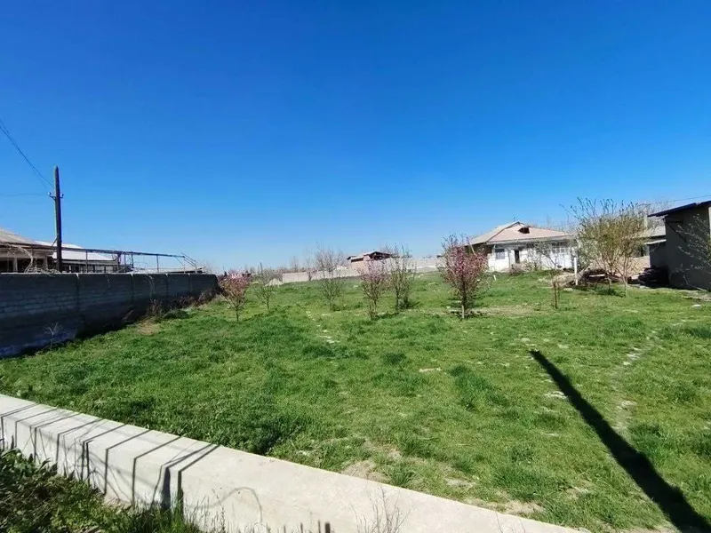 8-соток курук ерни ўзи сотилади 4