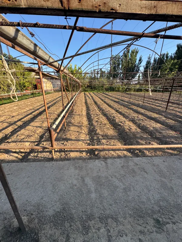теплица (парник) 8 теплица (парник) 8