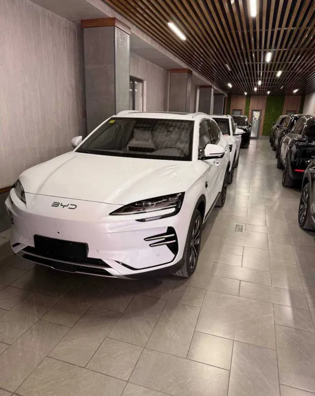 BYD Chempion Smart Full