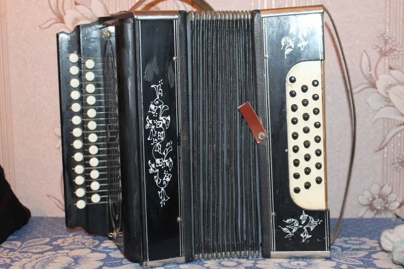 Vologda garmonchasi (Velikiy Ustyug shahri) 1 Vologda garmonchasi (Velikiy Ustyug shahri) 1
