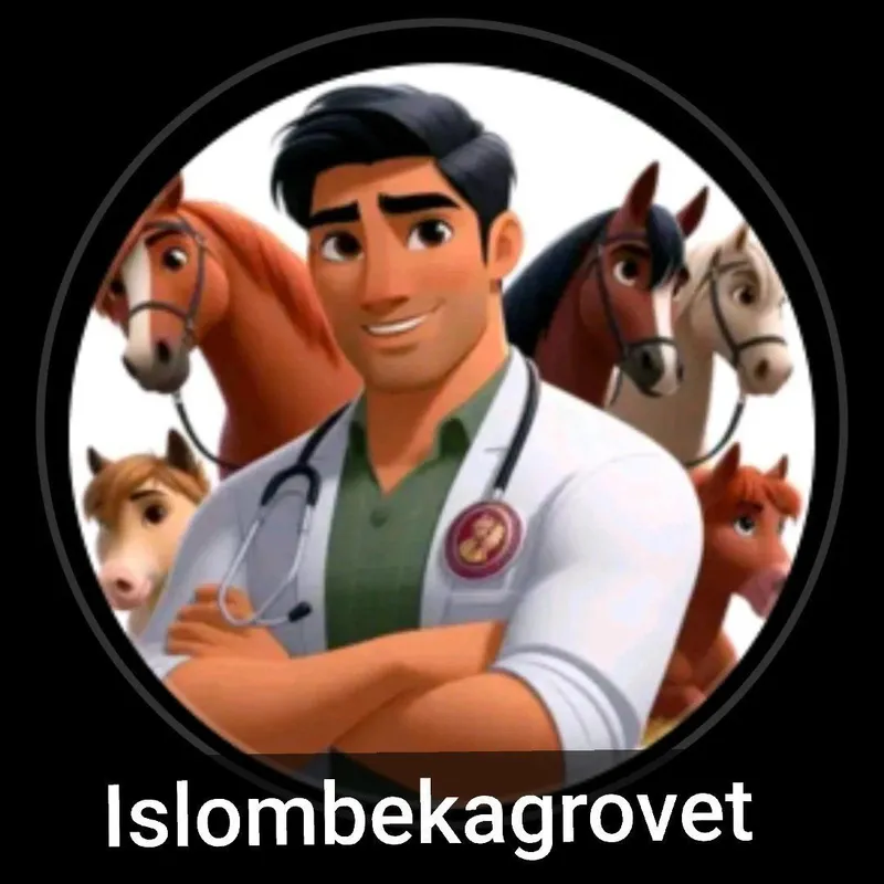 Veterinar Xizmati Chirchiq