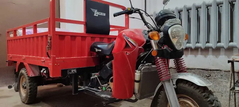 Грузовой мотоцикл, муравей, мотороллер, трицикл REALMOTO — фото 4