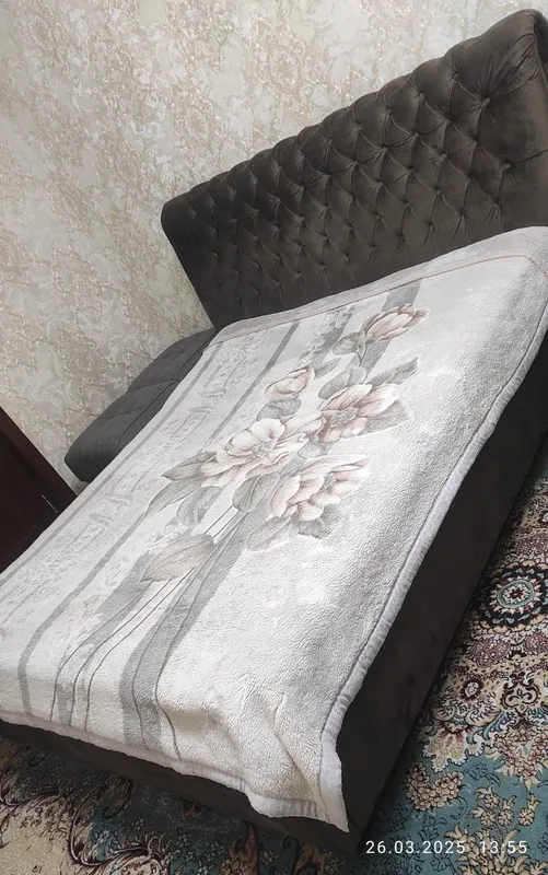 ikki tomonlama yopqich