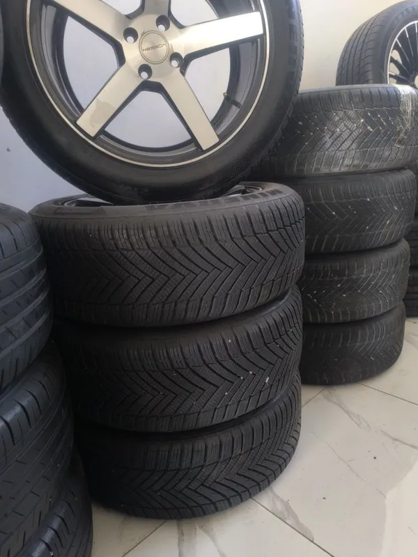 215,55,17 minerva 17 vossen saka 3