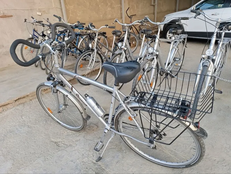 veliklar sotiladi narxini keliwamz 100$ dan 300$ dollargaca bor — фото 4