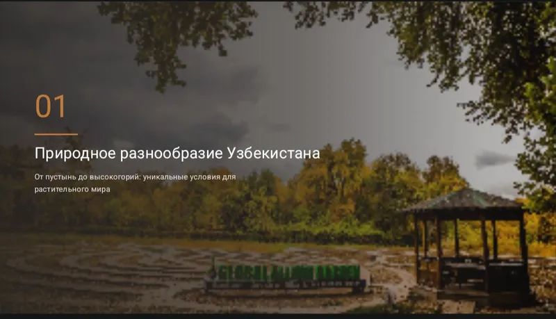 《Презентация》canva, PowerPoint word, pdf сделаю — фото 2 《Презентация》canva, PowerPoint word, pdf сделаю — фото 2