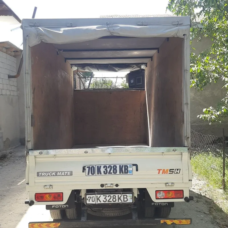 Foton qush balon 6