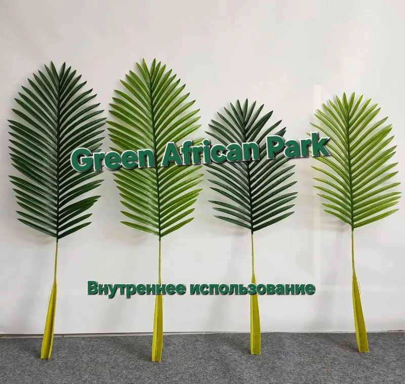 Пальмовые листья palma barglari 10
