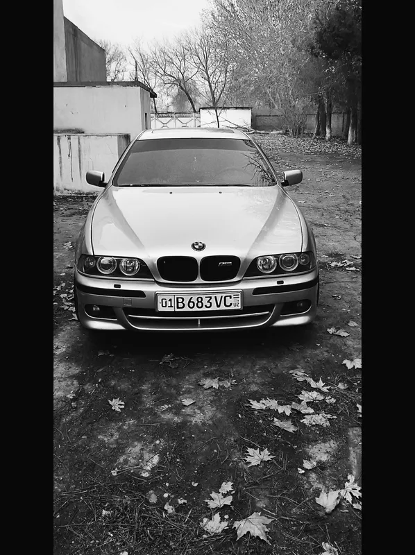 Продается BMW E39 3.0 M-paket 1 Продается BMW E39 3.0 M-paket 1