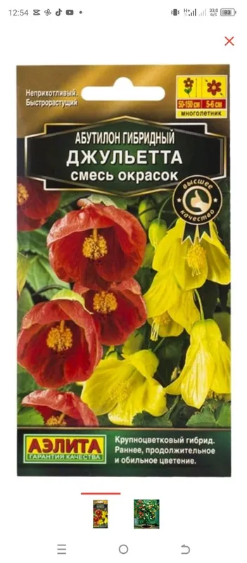 садовые цветы — фото 5