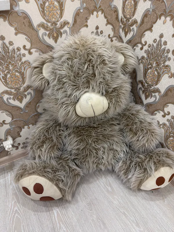 Teddy sotiladi