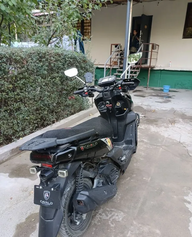 Cavalo tank 1 150kub 4