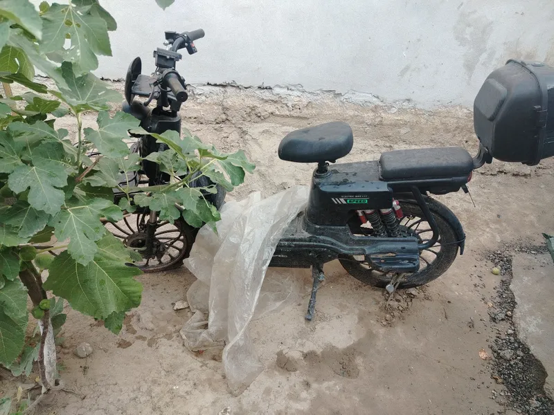 Velo sukuter soktak model