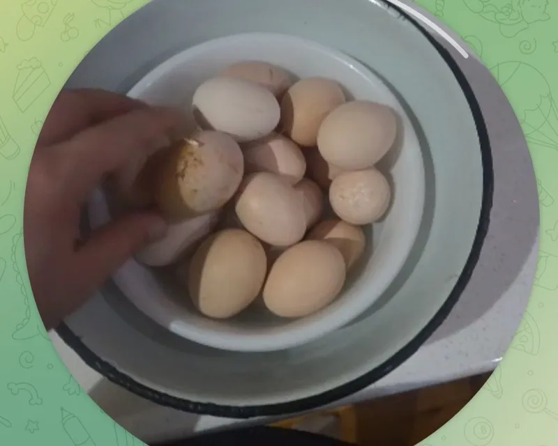 Уй тухуми uy tuxumi домашное яйцо