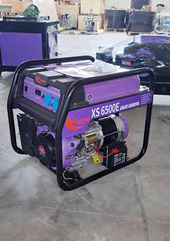 Бензиновый генератор со стартером XS6500E 5 кВт 12ой кафолат (движок) 1