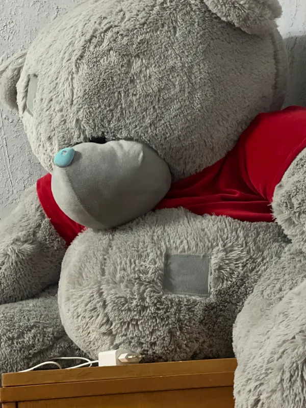 Игрушка Teddy Игрушка Teddy