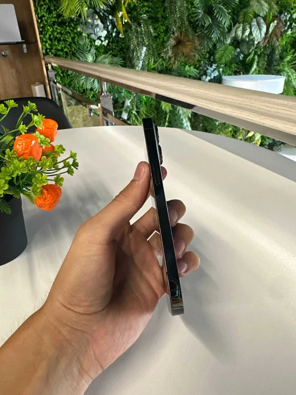 iPhone 13 Pro 256gb 77% 4